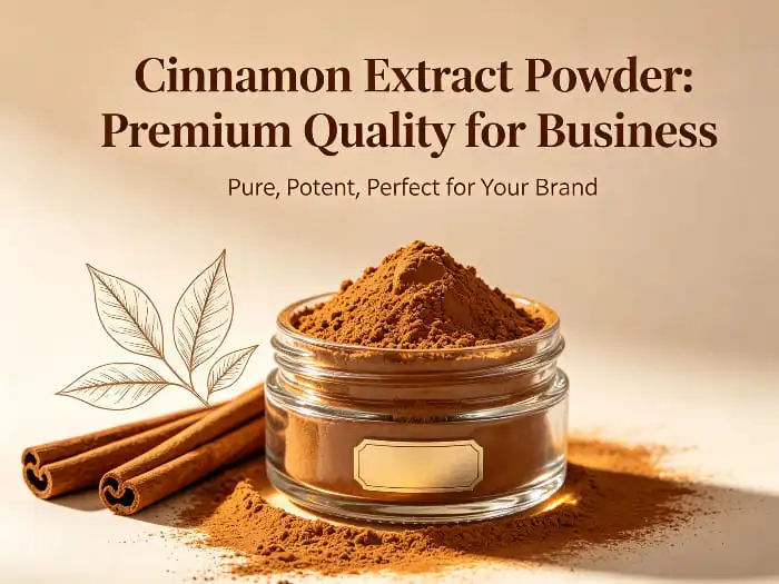 The Dual Benefits of Cinnamon Extract in Food and Wellness